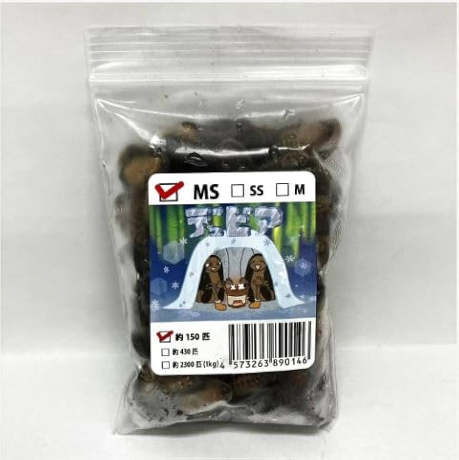 冷凍デュビア Amazon | 【邑楽ファーム・クール便発送】冷凍デュビア MS